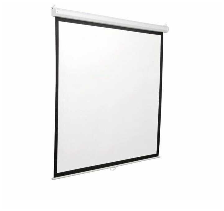 Рулонный cactus Motoscreen (CS-PSM-180x180) фотография 9