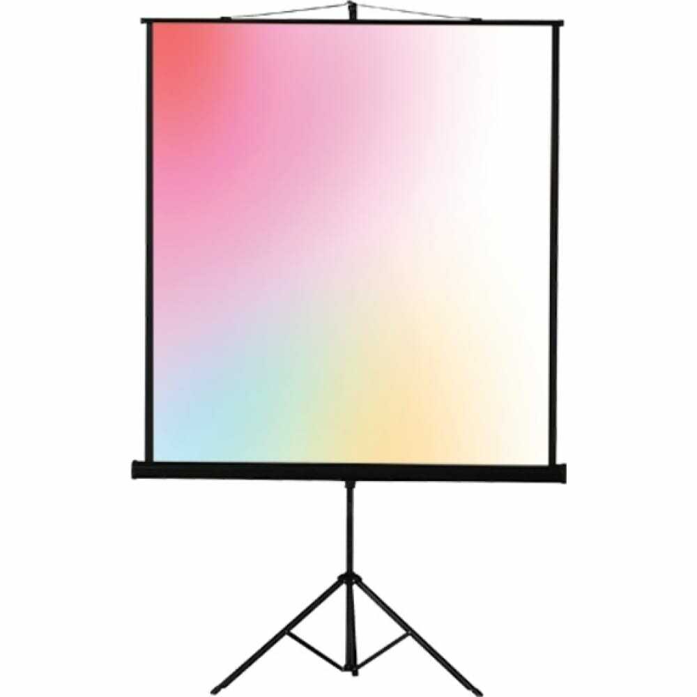 Экран для проектора Lumien Eco View (LEV-100110) фотография 5