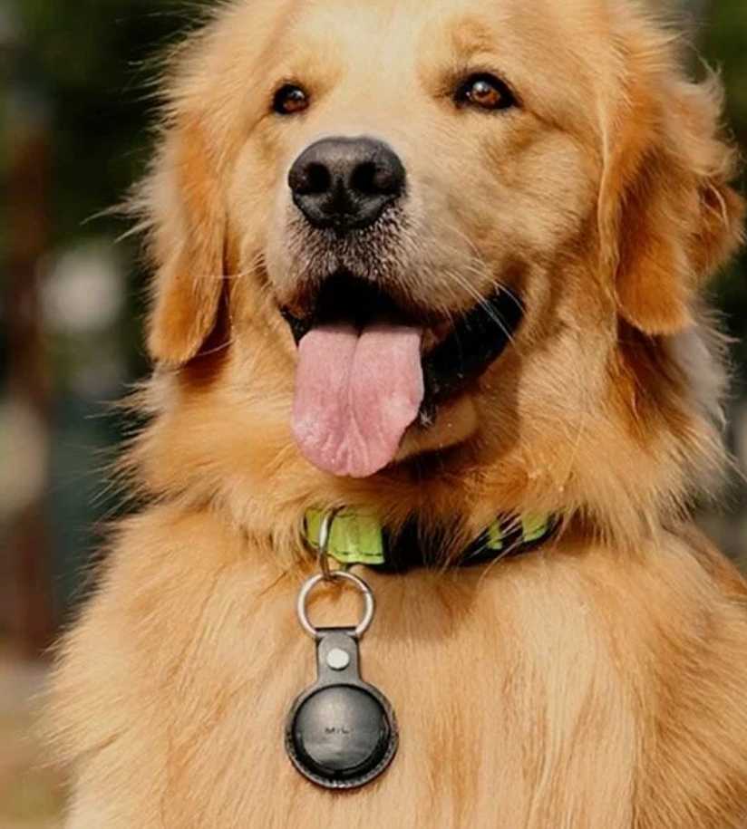 GPS-трекер MiTag фотография 5