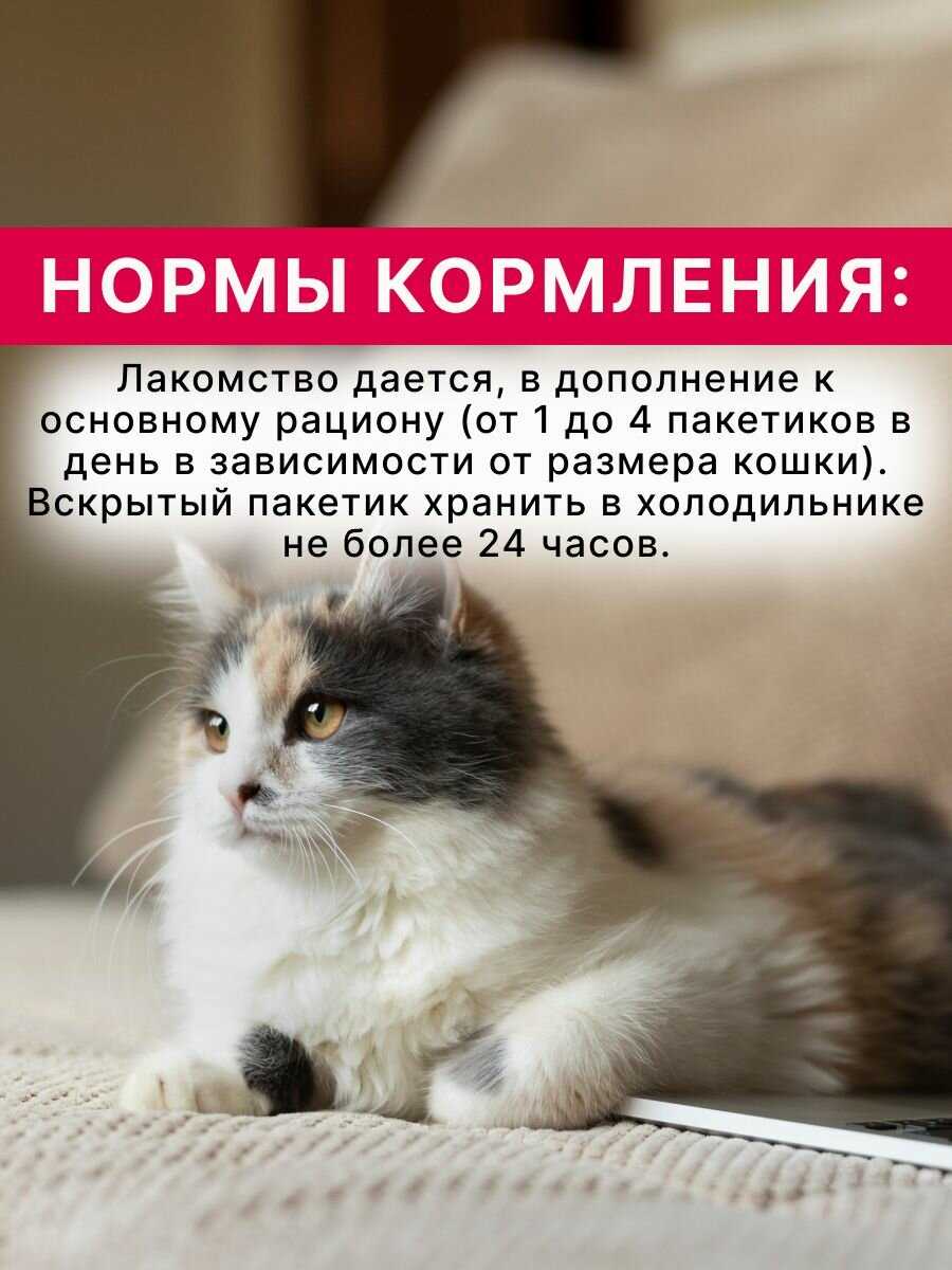Лакомство-пюре для кошек Inaba Ciao Churu Куриное филе и креветка фотография 17