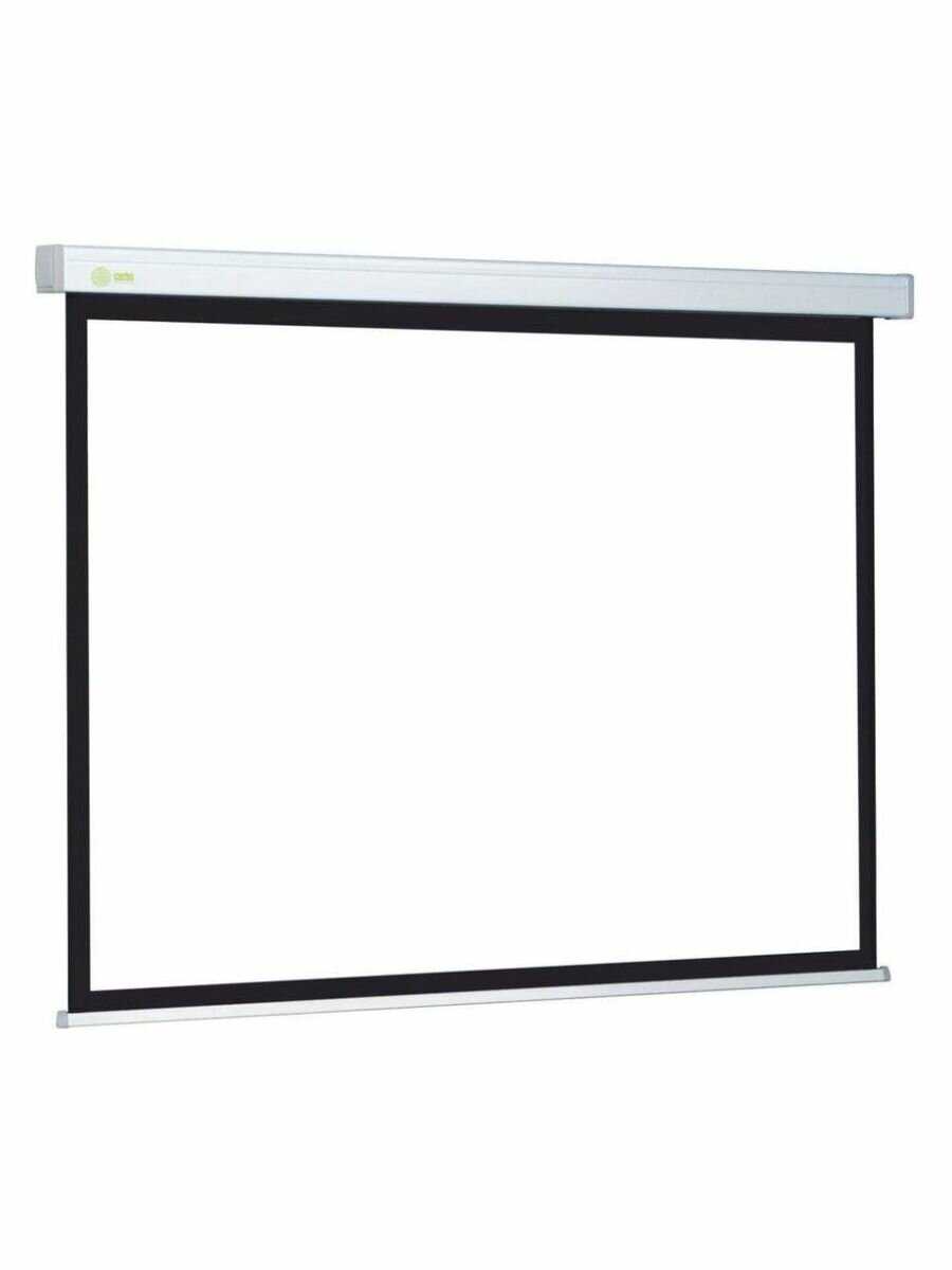 Рулонный cactus Wallscreen (CS-PSW-149x265) фотография 7