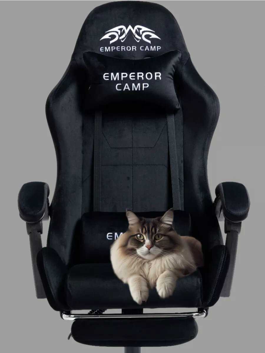 Компьютерное кресло Emperor Camp