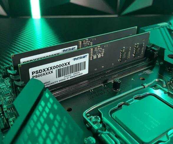 Оперативная память Patriot Memory SL 8 ГБ DDR5 5600 МГц (PSD58G560041) фотография 6