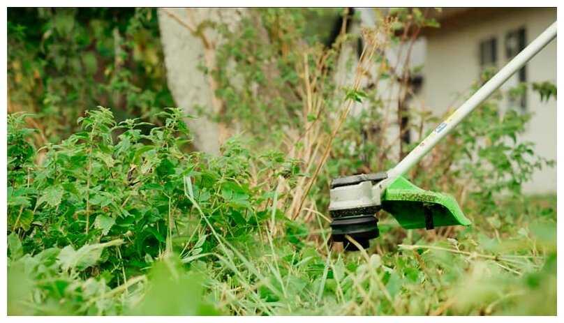 Триммер электрический Greenworks GD60BCB (2108407) фотография 3