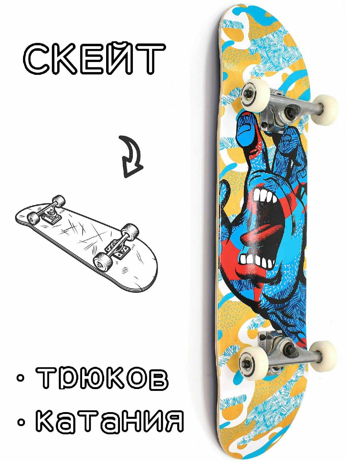 Скейтборд Santa Cruz Regular (831.75)