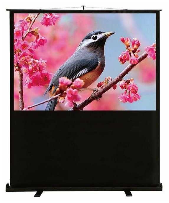 Экран Cactus 90x120см FloorExpert CS-PSFLE-120X90 4:3 напольный рулонный фотография 4