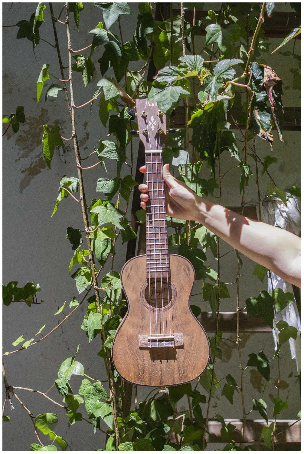 FLIGHT DUC430 DAO Укулеле концерт фотография 7