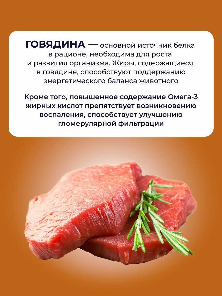 Корм для кошек Jarvi Preventive diet line Renal (соус) Говядина фотография 3