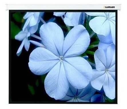 Рулонный Lumien Master Picture (LMP-100131) фотография 3