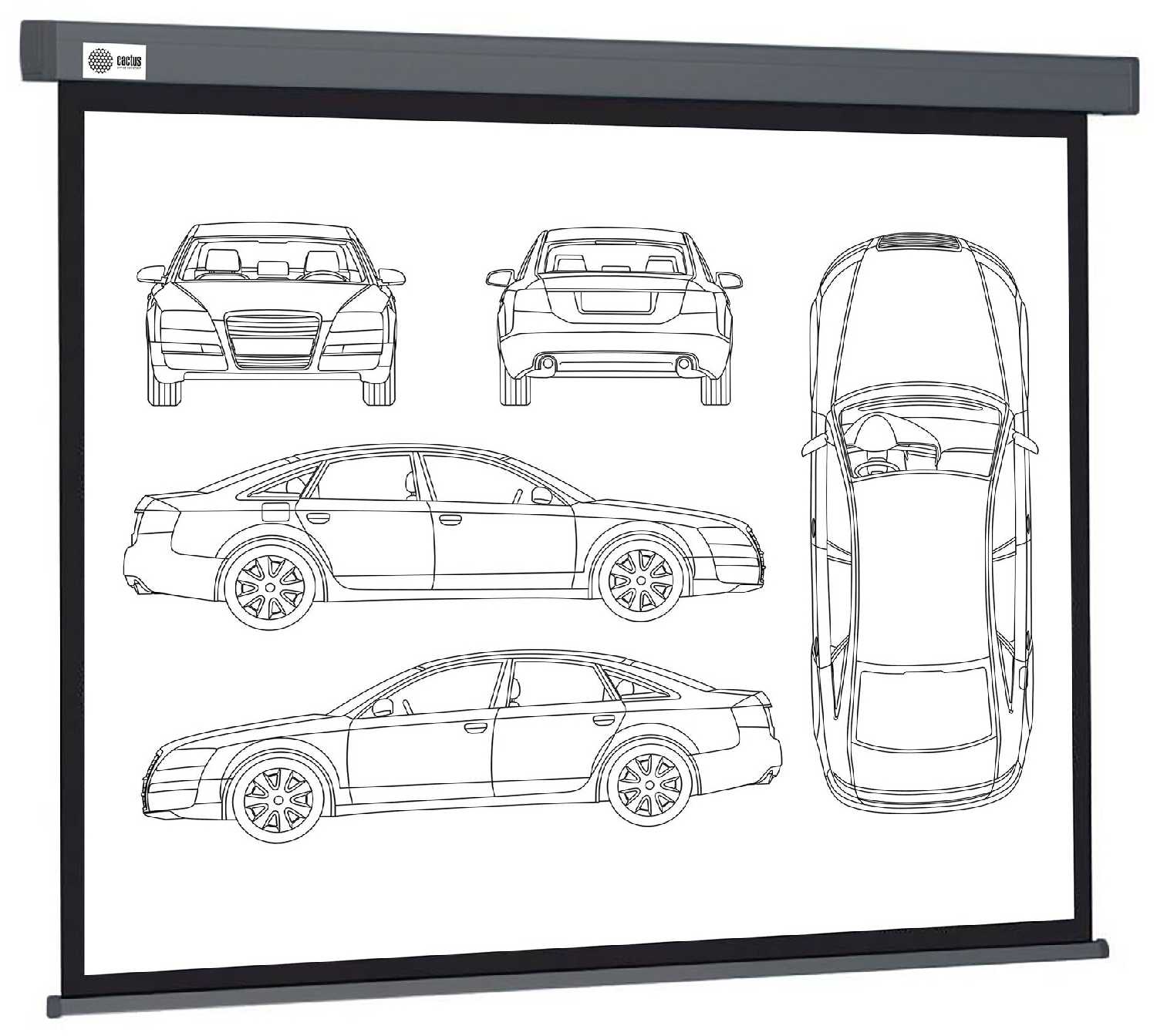 Рулонный cactus Wallscreen (CS-PSW-168X299-SG)