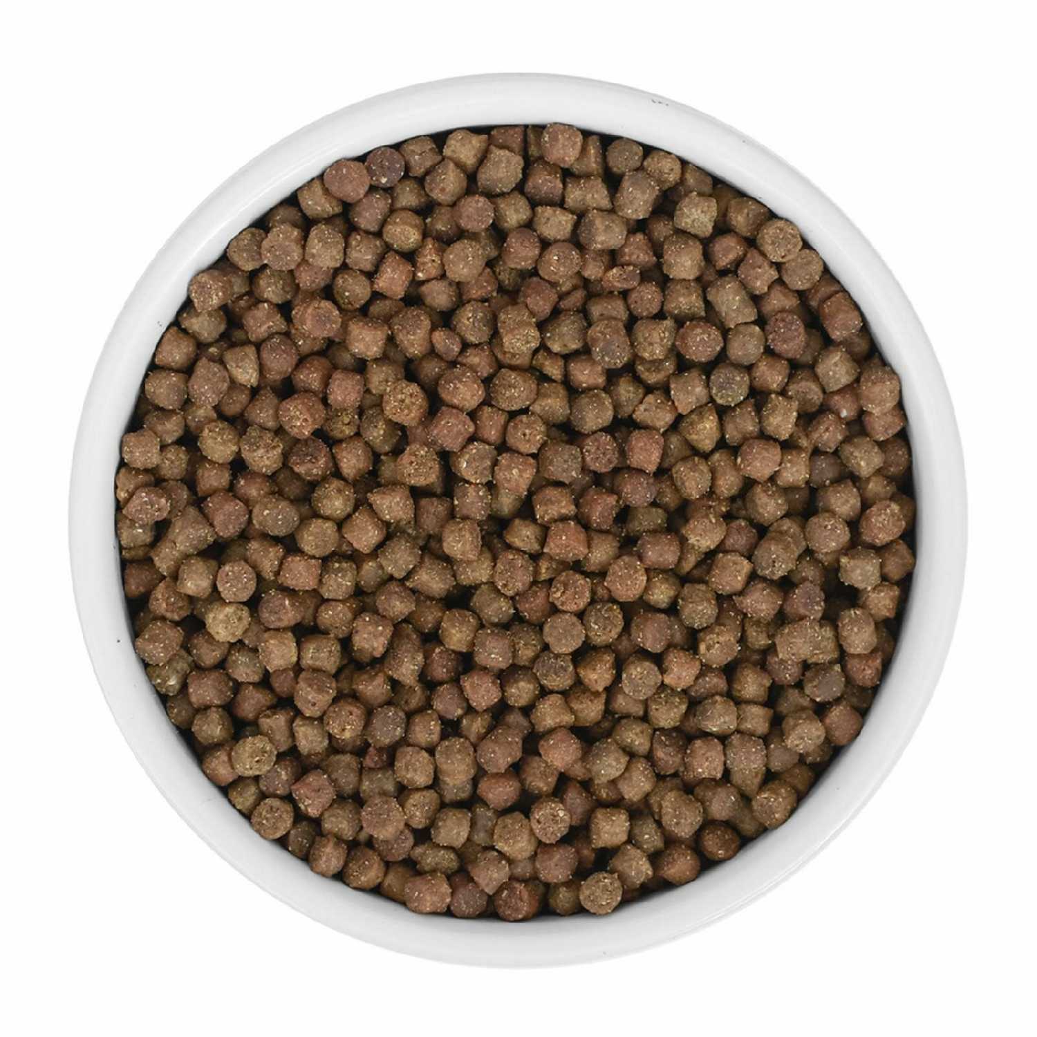 Корм для котят GRAIN FREE KITTEN Беззерновой корм для котят с лососем и белой рыбой фотография 5