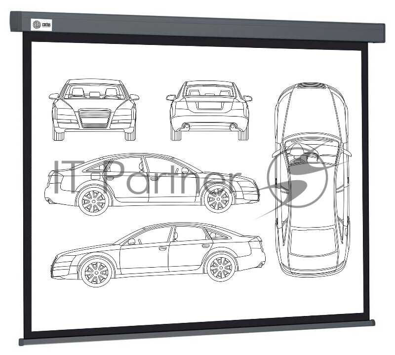 Рулонный cactus Wallscreen (CS-PSW-168X299-SG) фотография 10