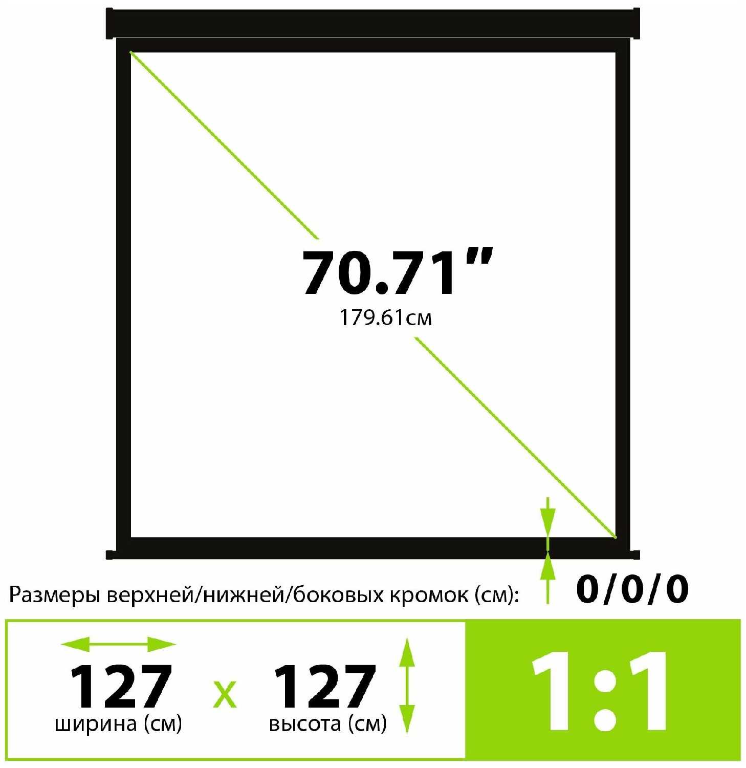 Рулонный cactus Triscreen (CS-PST-127x127) фотография 3
