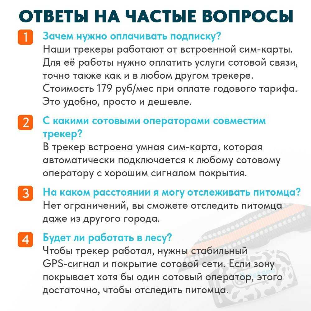 GPS трекер Petsee Petsee 4G Dogs фотография 13