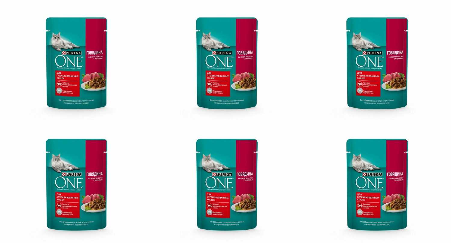 Корм Purina ONE с говядиной и морковью (кусочки в соусе) фотография 1