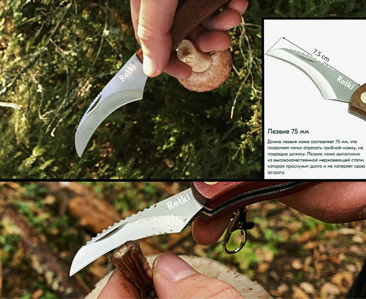 Нож Retki Нож грибника (210 мм) фотография 4
