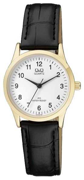 Наручные часы Q&Q C213-104