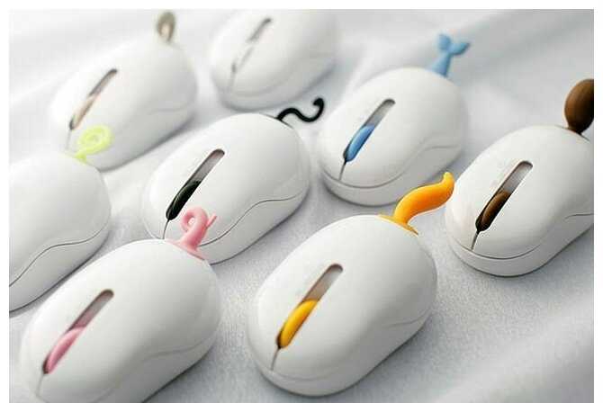 Мышь Хвостик CBR MF 500 Dolphin фотография 6