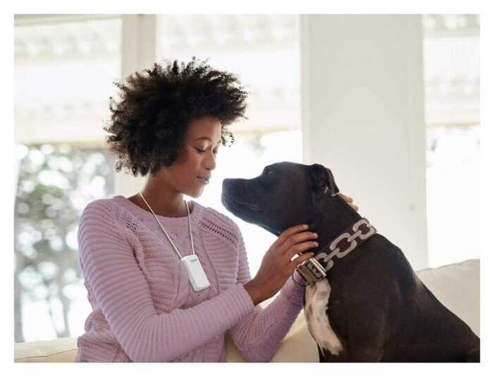 Персональный Очиститель Воздуха pureAir PERSONAL SOLO GreenTech Environmental - Ионная Защитно-барьерная