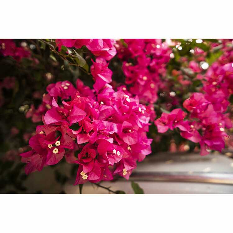 Объектив Viltrox AF 13mm F1.4 (E-mount) фотография 6