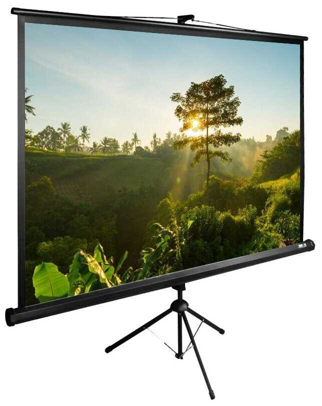 Рулонный cactus TriExpert (CS-PSTE)