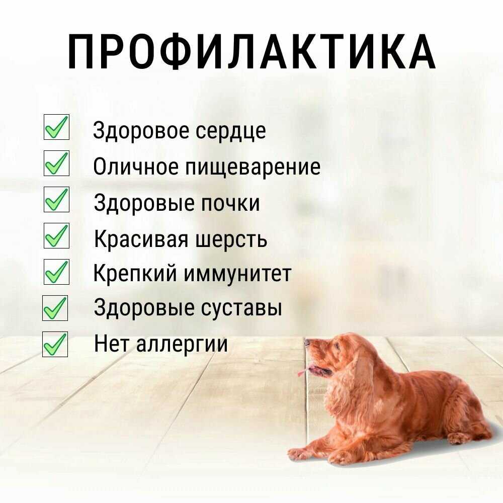 Корм для собак Grandorf 4 Meat Recipe фотография 4