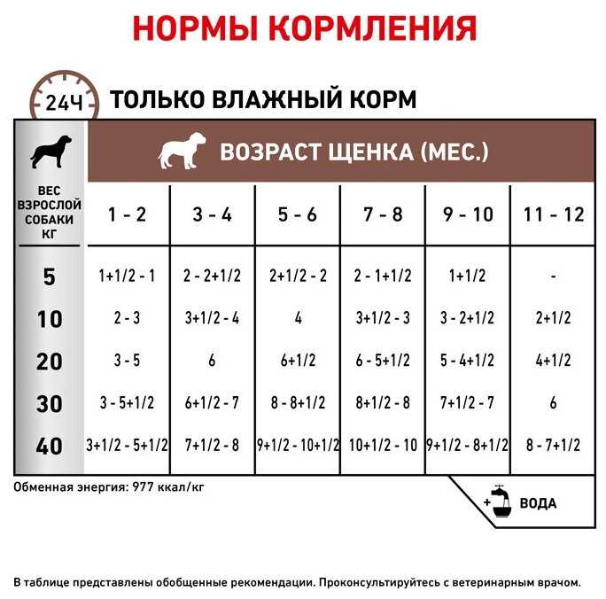 Корм Royal Canin Gastro Intestinal фотография 4