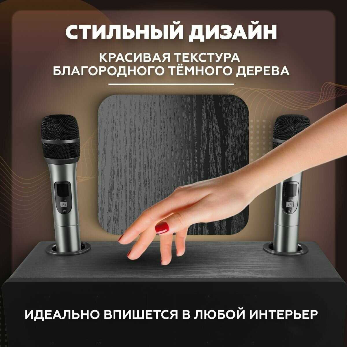 Караоке система для дома/телевизора с двумя беспроводными микрофонами, портативной блютуз колонкой фотография 8