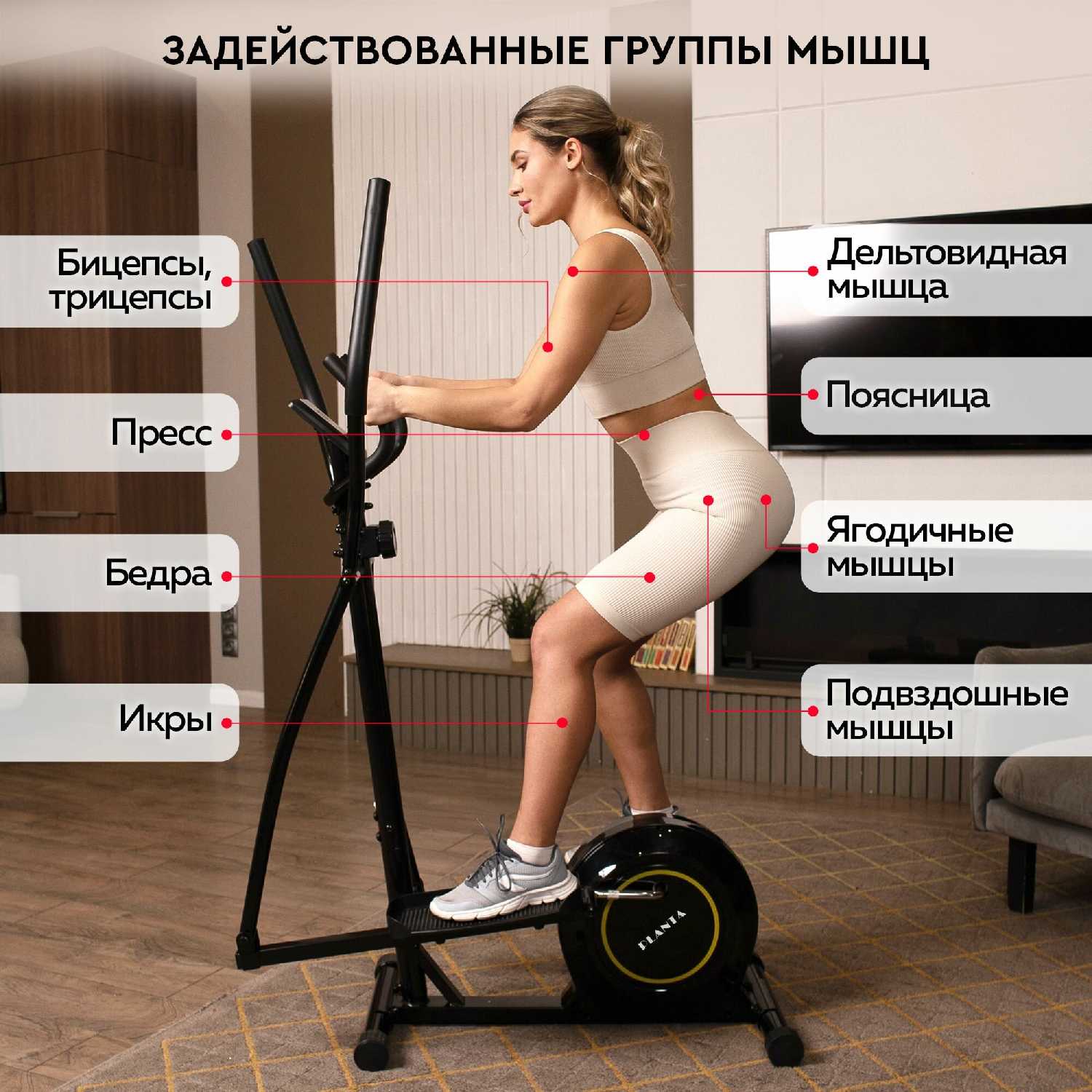 Эллиптический тренажер PLANTA FD-Е500 фотография 3