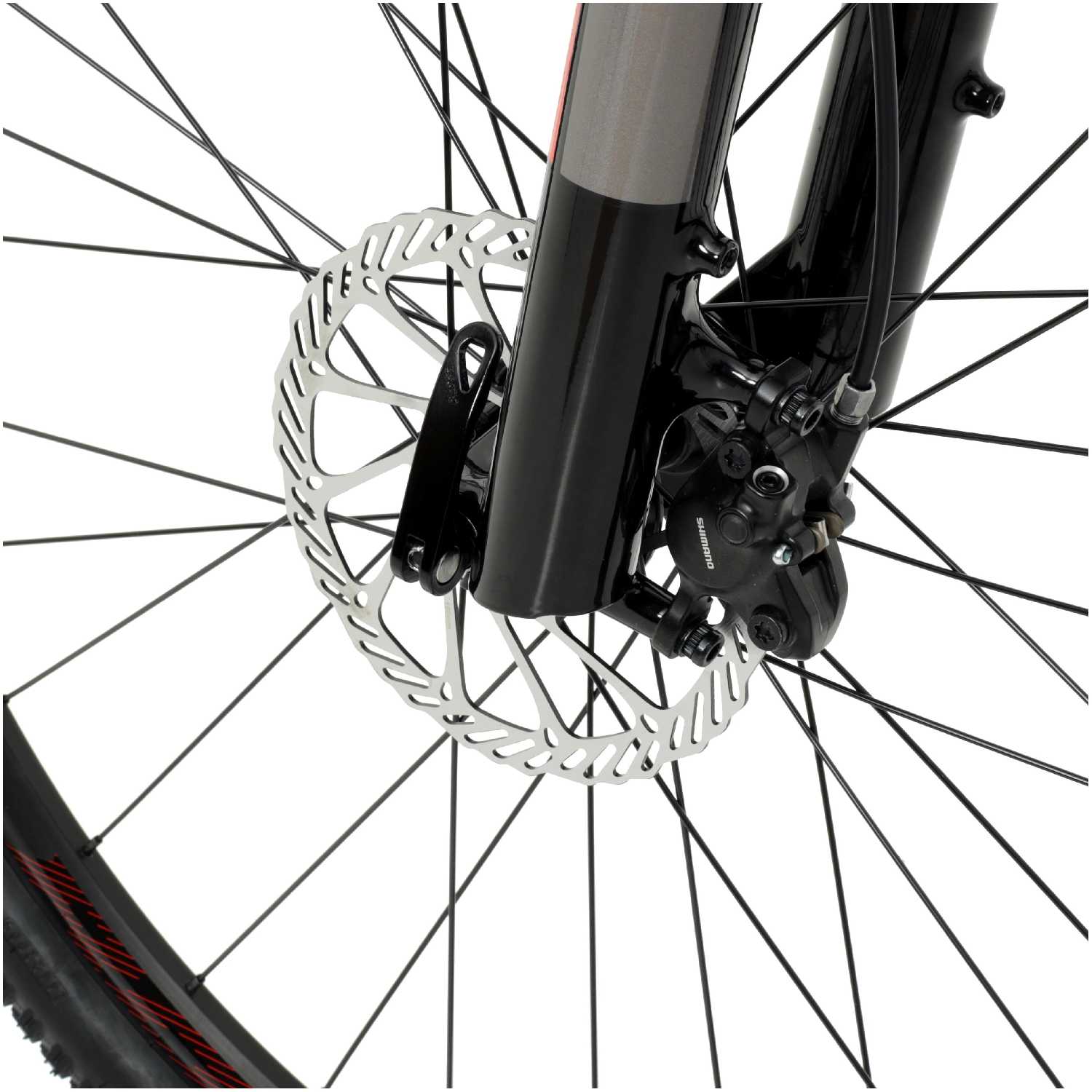 Горный (MTB) велосипед Welt Raven 2.0 HD 29 фотография 7