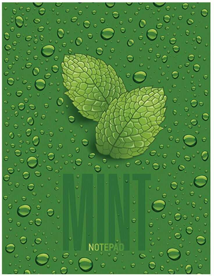 Рулонный BRAUBERG Wall (236725) фотография 12