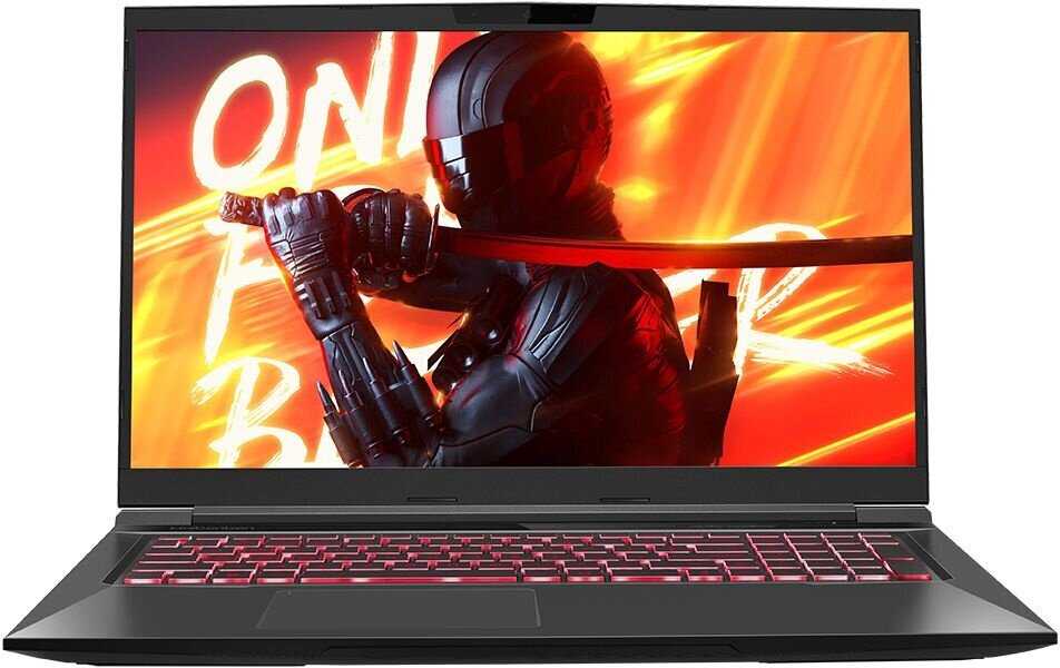 Ноутбук MAIBENBEN X668 i7-12700H 16Gb SSD 512Gb NVIDIA RTX 3070 8Gb 17,3 QHD IPS (X668QSFELBRE0) фотография 10