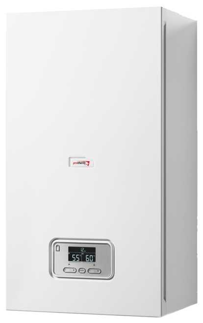 Котел Protherm Скат RAY 9 KE (14) фотография 1