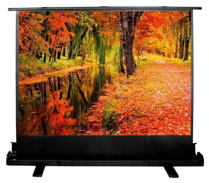 Экран Cactus 150x200см FloorExpert CS-PSFLE-200X150 4:3 напольный рулонный фотография 10