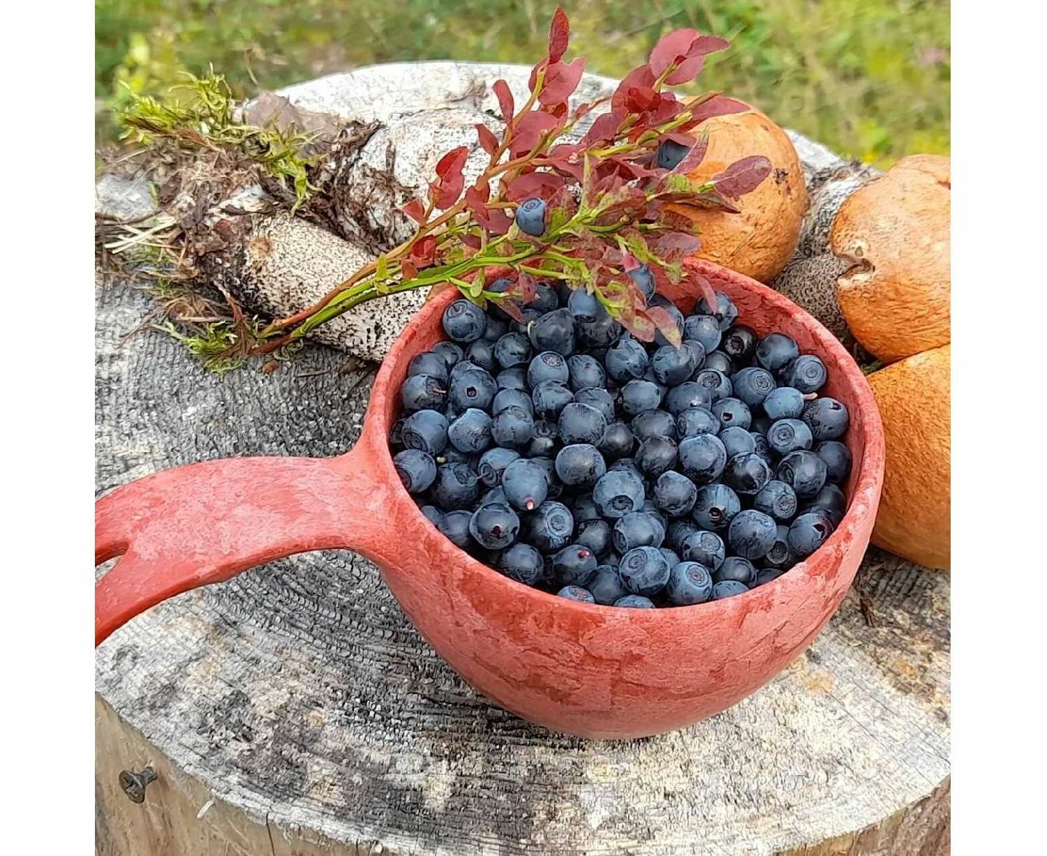 Чашка-кукса Kupilka 37 (370 мл) фотография 32