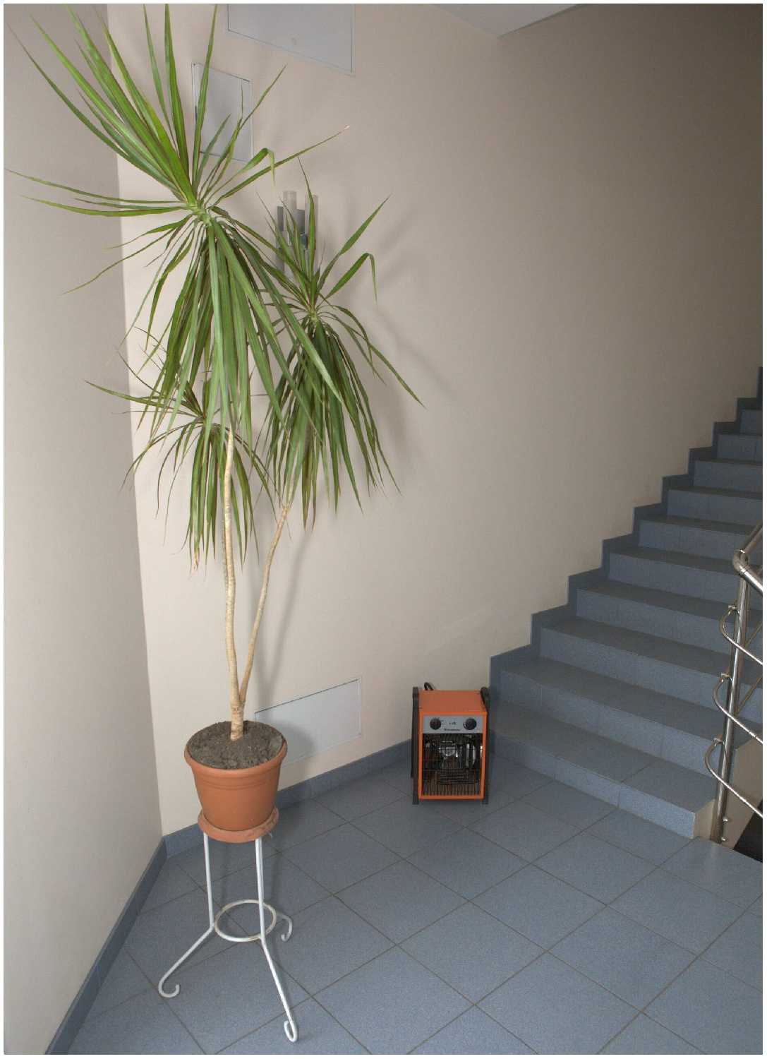 Электрическая тепловая пушка Тепломаш КЭВ-6С41Е фотография 5