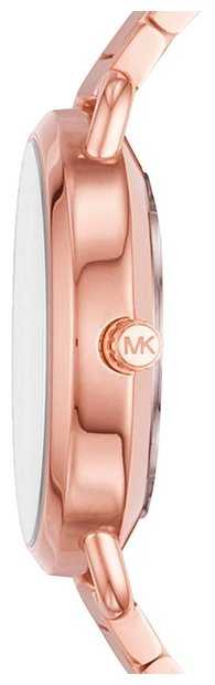 Наручные часы MICHAEL KORS MK3841 фотография 1