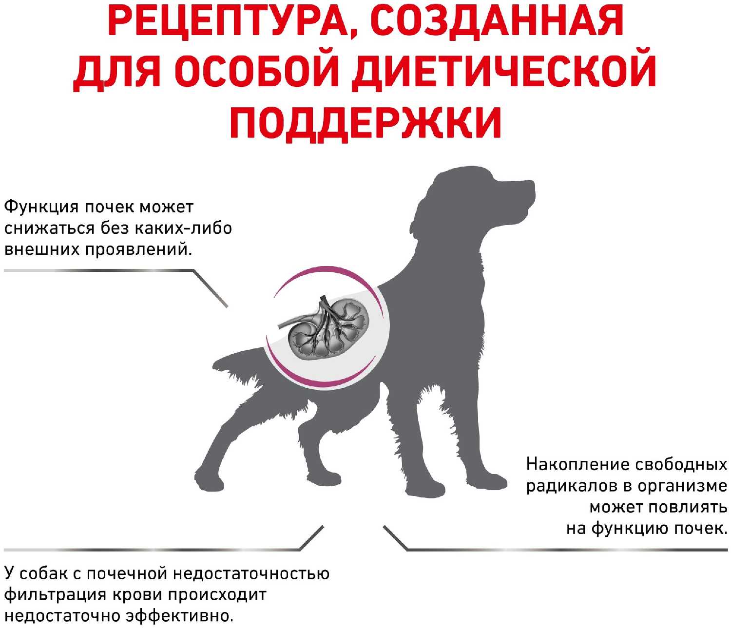 Корм для собак Royal Canin Early Renal фотография 11