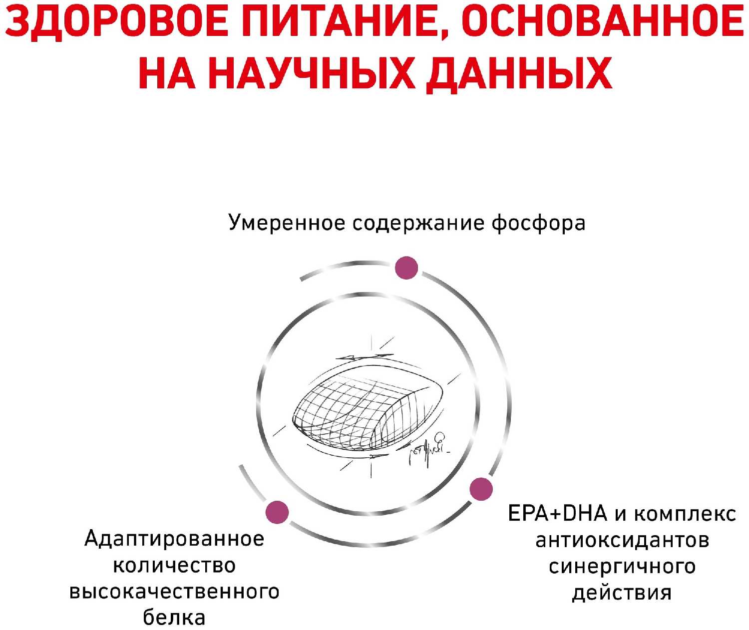 Корм для собак Royal Canin Early Renal фотография 12