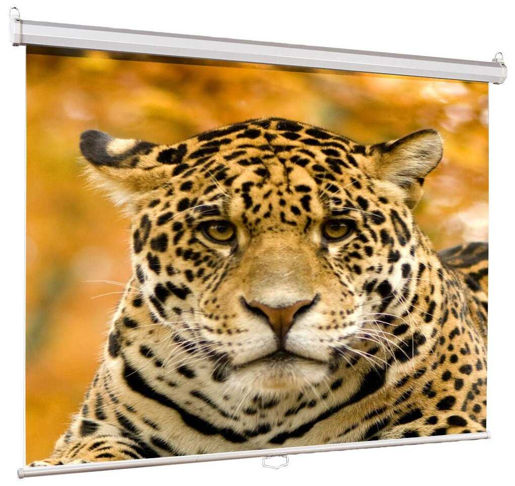 Рулонный Lumien Eco Picture (LEP-100102) фотография 1