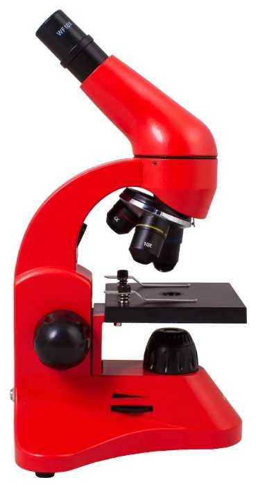 Микроскоп LEVENHUK Rainbow 50L фотография 40