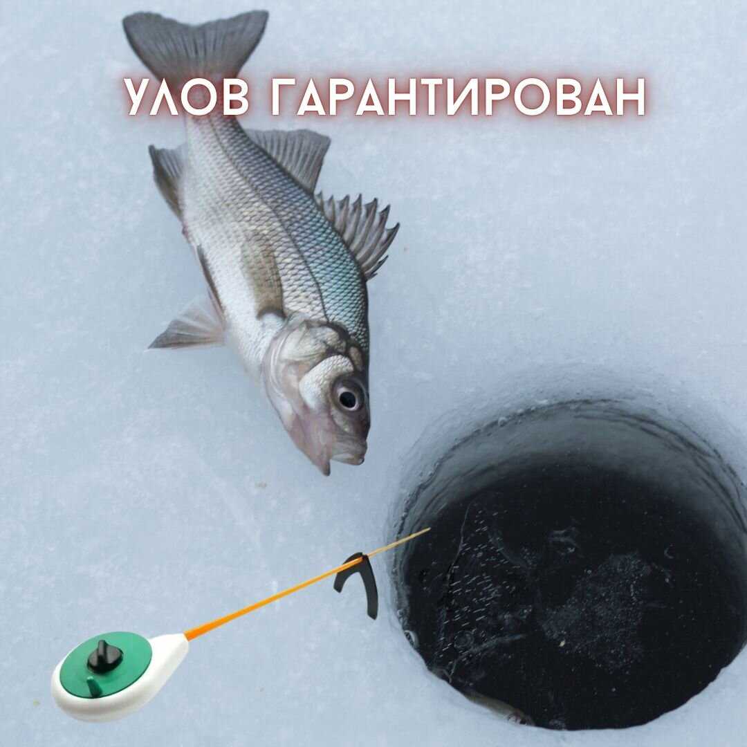 Удочка для зимней рыбалки Удочка для зимней рыбалки балалайка в наборе 2 штуки фотография 2