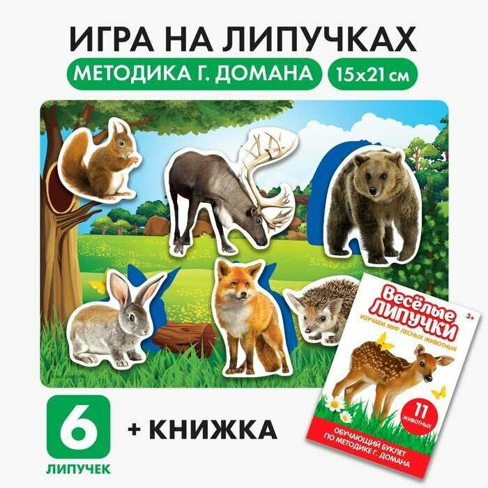 Развивающая игрушка Школа талантов Весёлые липучки. Изучаем мир лесных животных (4978163) фотография 9