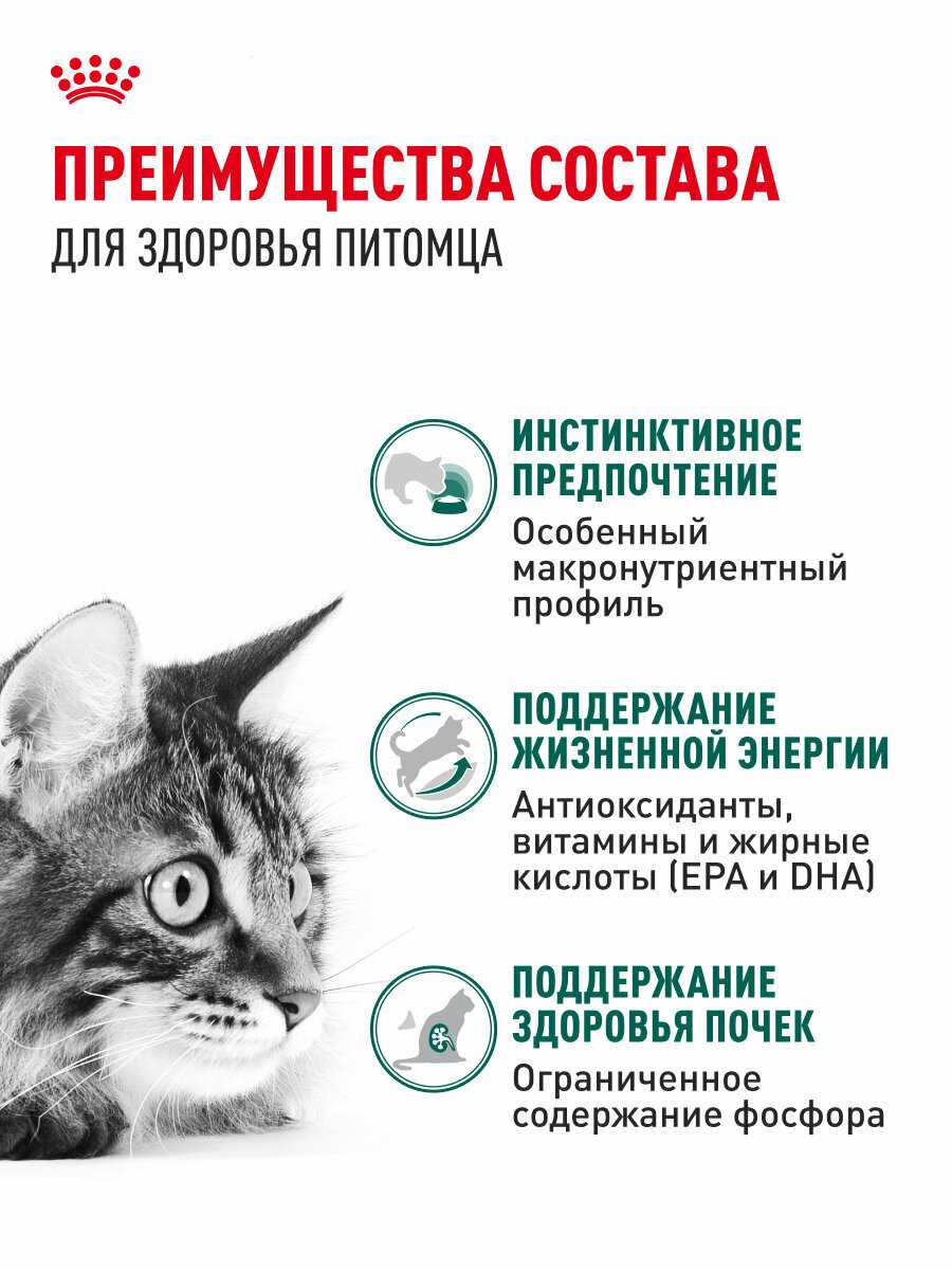 Корм Royal Canin INSTINCTIVE 7+ фотография 2
