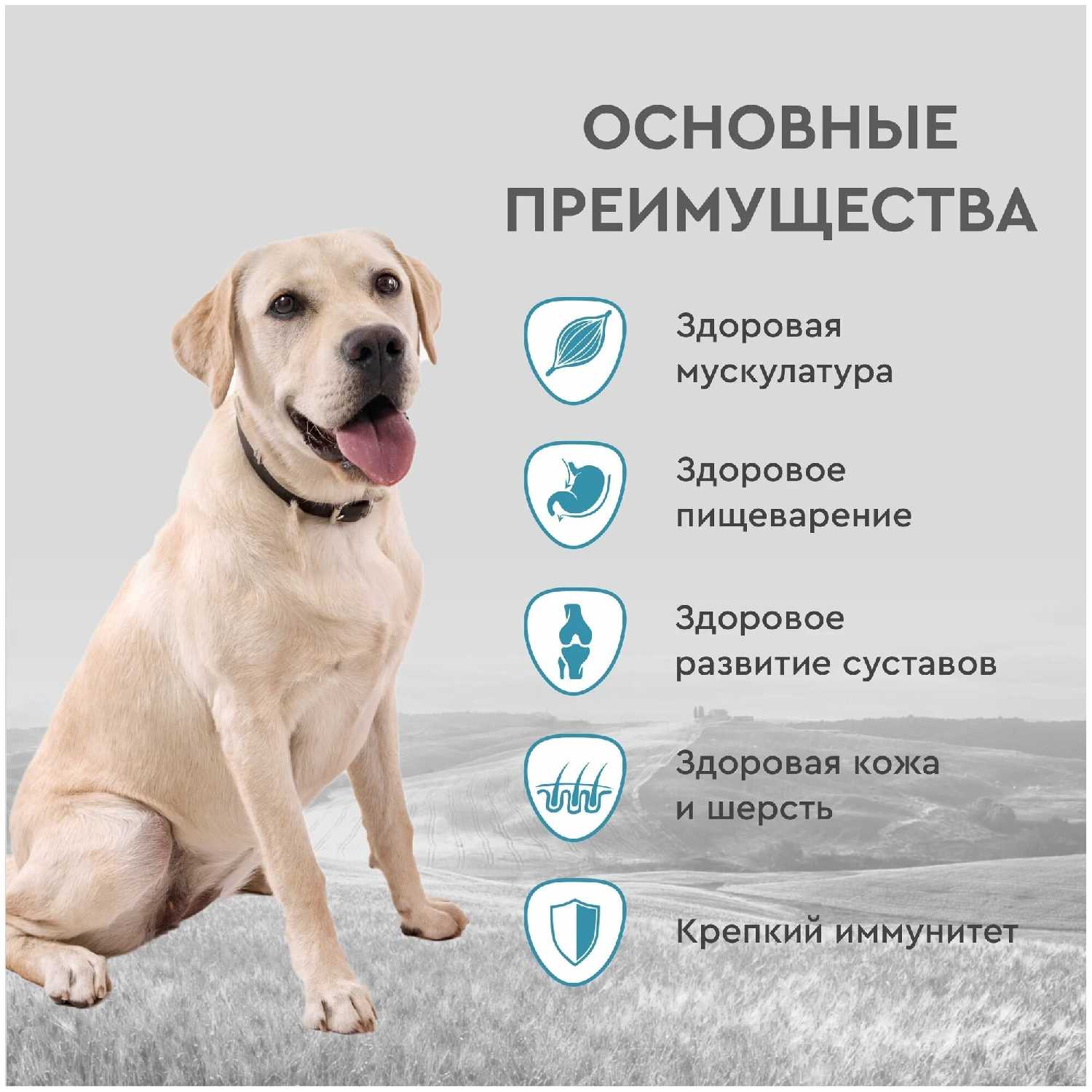 Корм для собак Secret for Pets курица с цельными злаками фотография 12