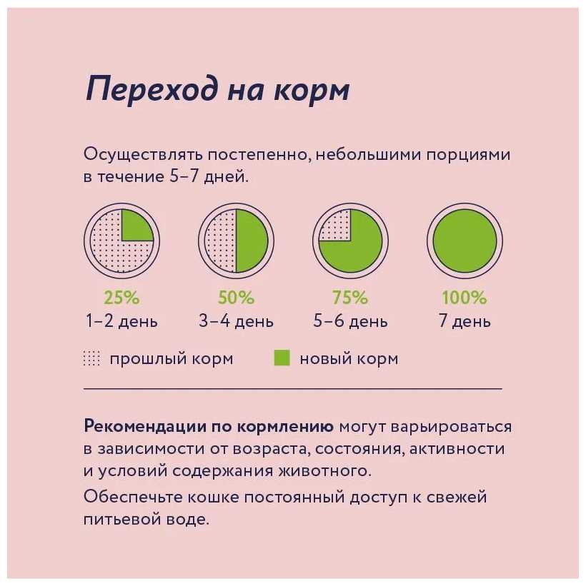 Сухой корм для кошек Сухой корм с ягненком и грушей фотография 19