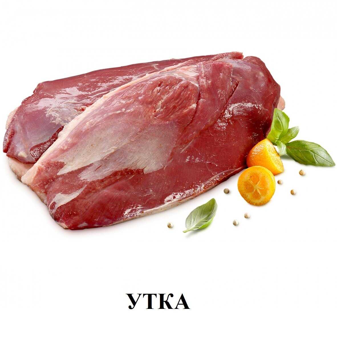 Корм для котят Alleva Holistic (беззерновой, с курицей, с уткой) фотография 18