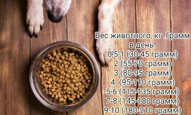Корм Sirius Premium Три мяса с овощами фотография 17