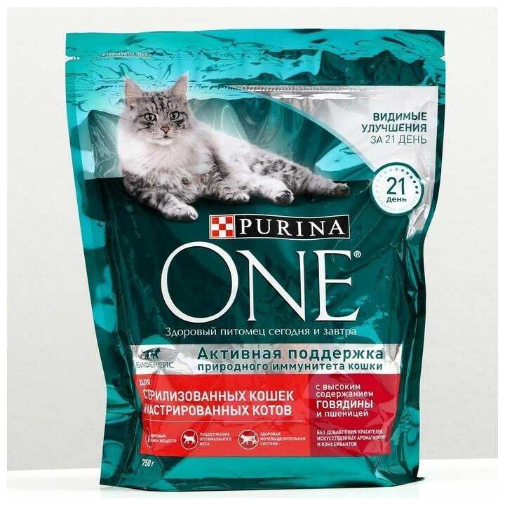 Корм для кошек Purina ONE с чувствительным пищеварением и разборчивым вкусом в еде фотография 13