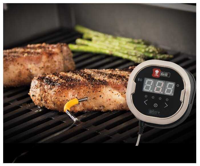 Термометр со щупом Weber iGrill 2 7221 фотография 7